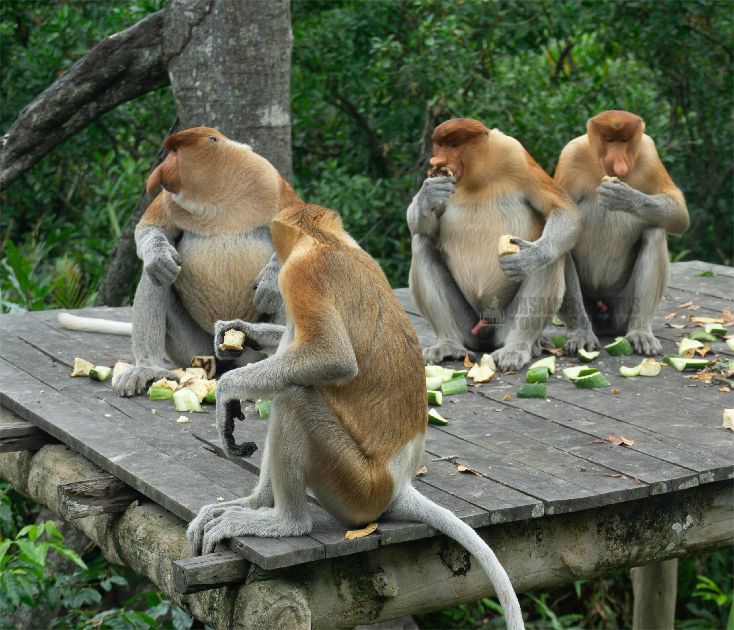 sandakan bsbcc (22 of 25)