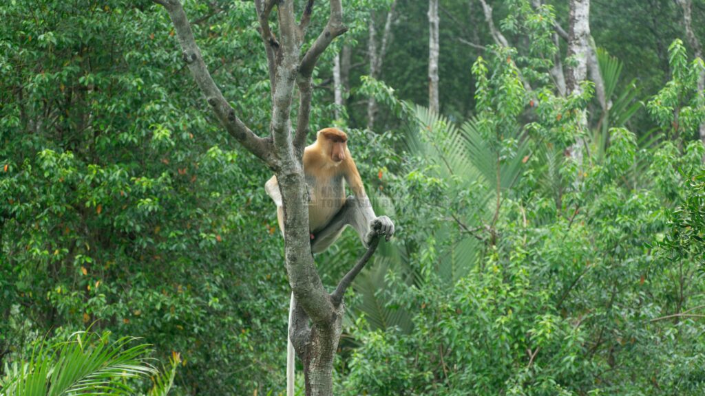 sandakan bsbcc (24 of 25)