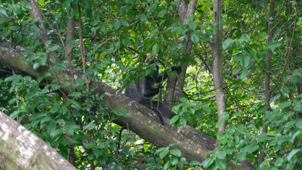 sandakan bsbcc (9 of 25)