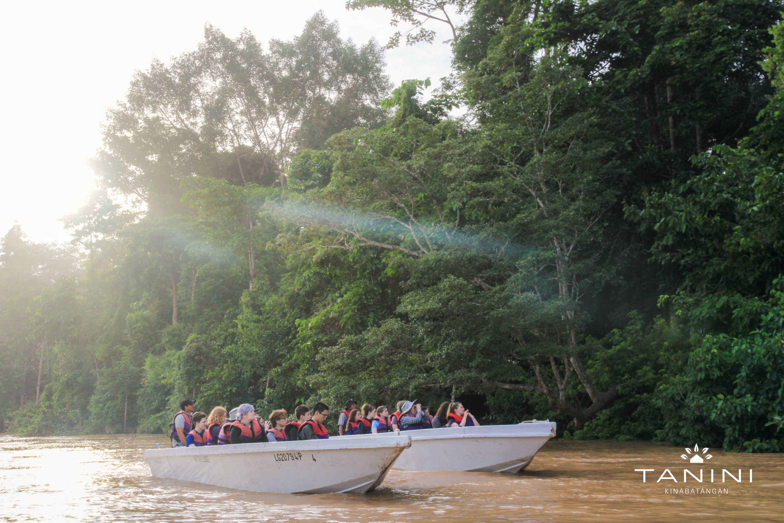 tanini kinabatangan activity river cruise 2