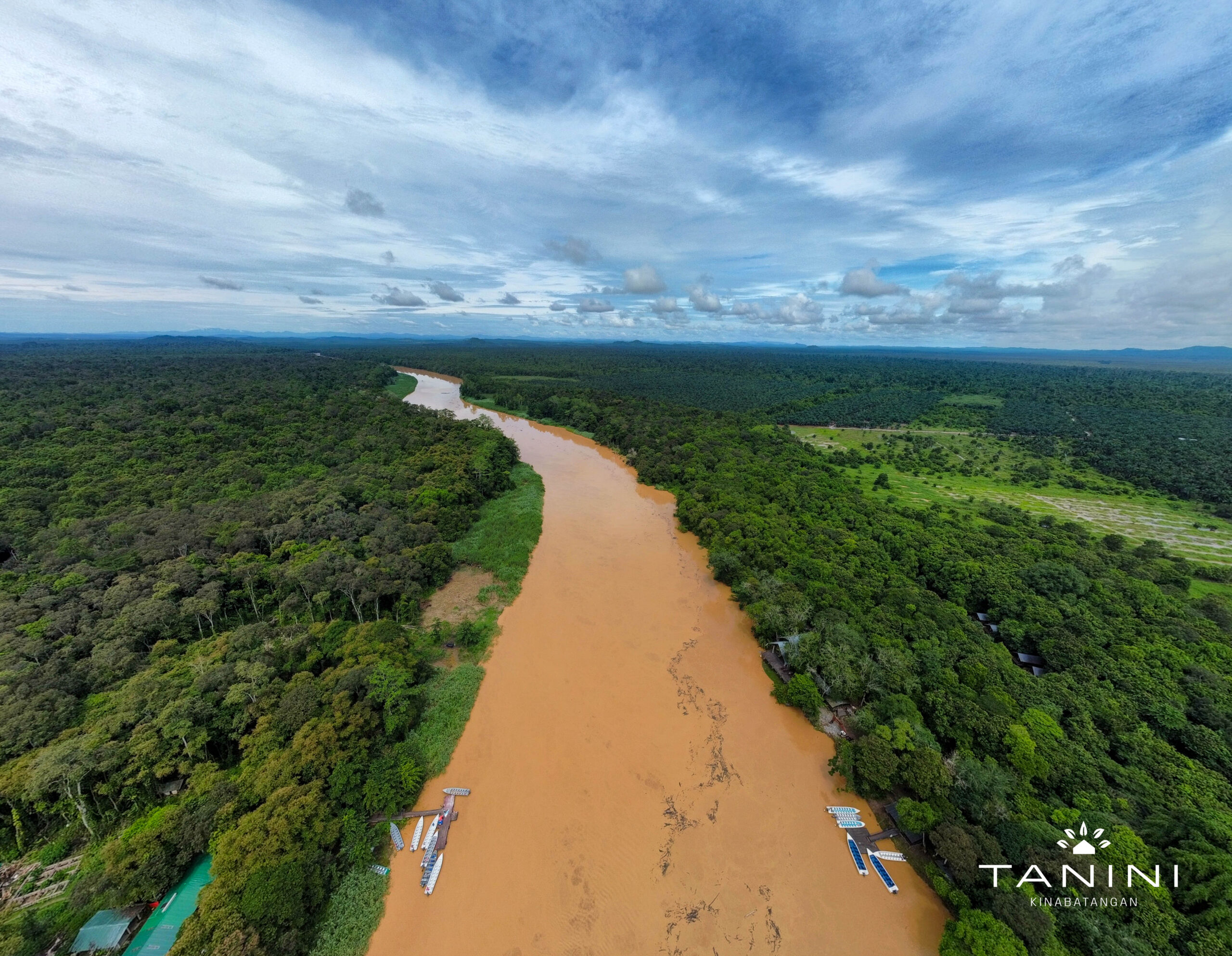 tanini kinabatangan drone 7
