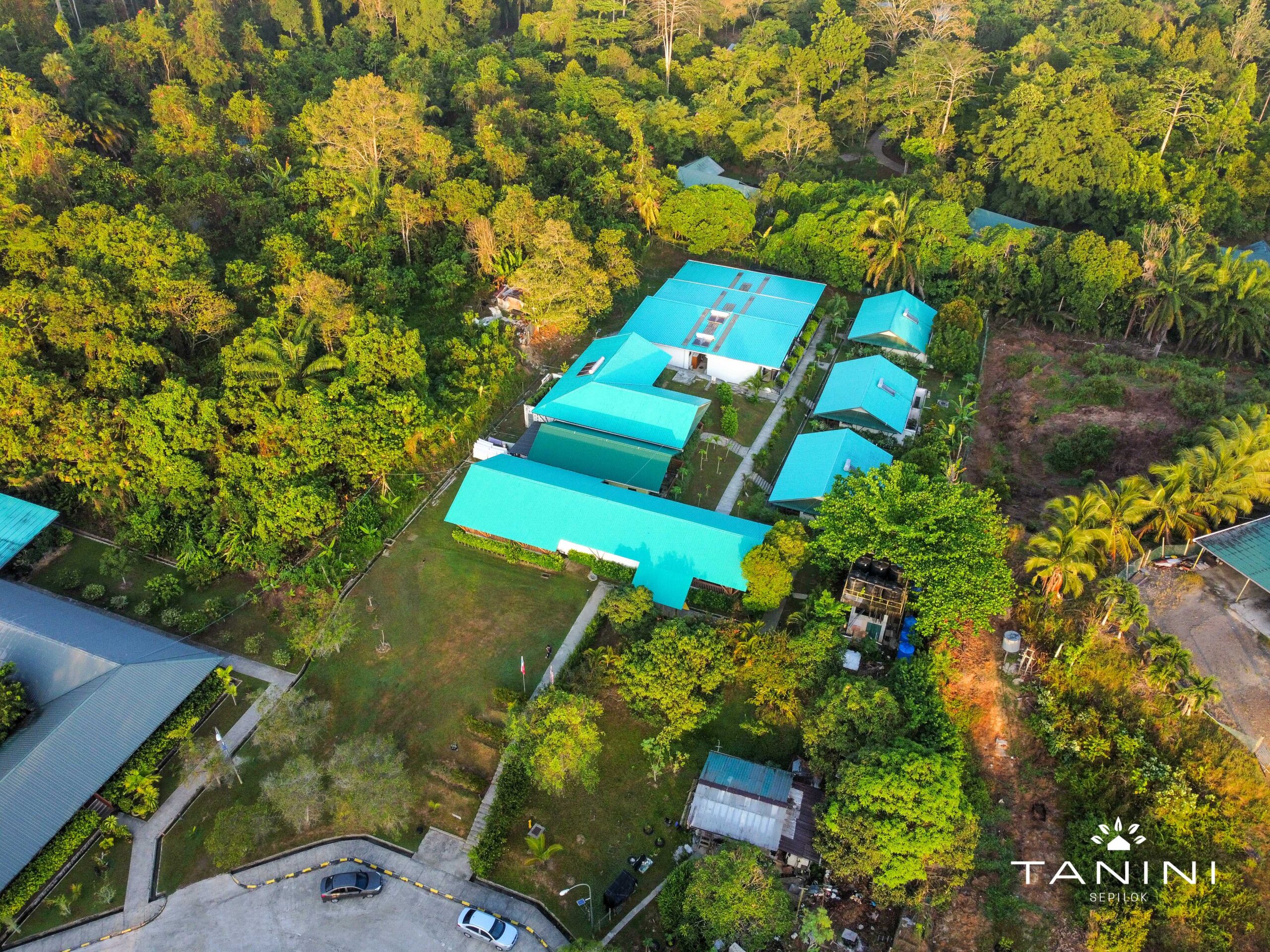 tanini sepilok drone 2